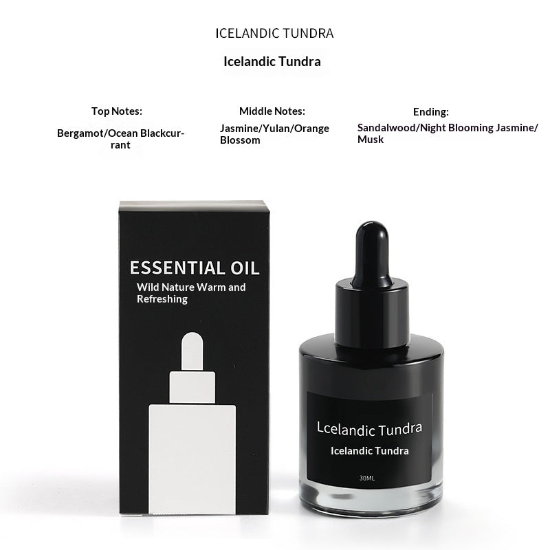 ZenStone Crystal Aroma Diffuser – Natural Essential Oil Fragrance Decor