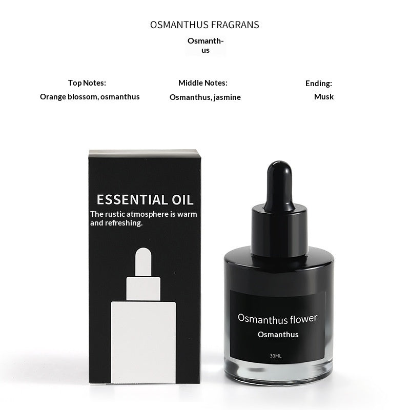 ZenStone Crystal Aroma Diffuser – Natural Essential Oil Fragrance Decor